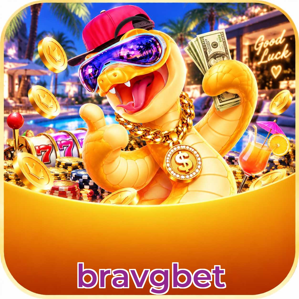 bravgbet App vs Web
